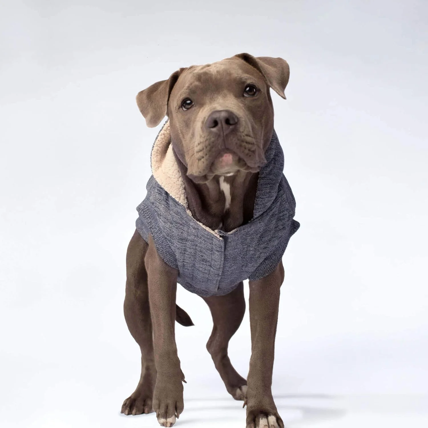 Manteau pour chien Studio Pooch à capuche Gris Bobby – Image 2