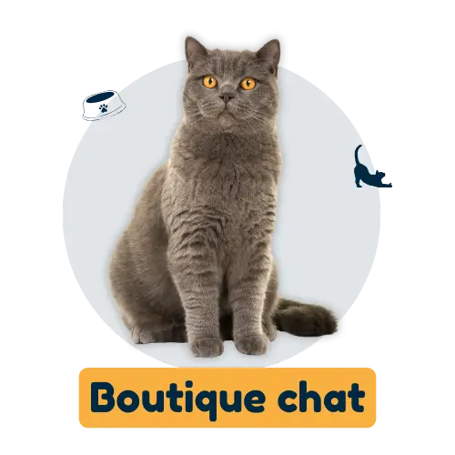 accès boutique chat