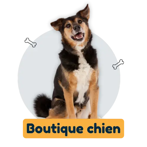 accès boutique chien