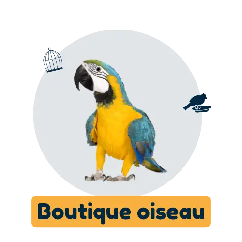accès boutique oiseau