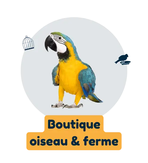 boutique oiseau et ferme
