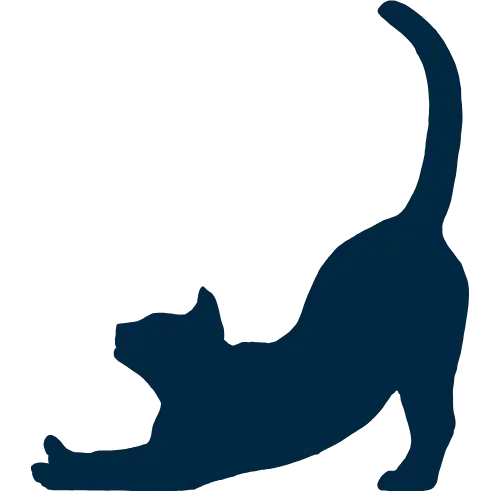 icone chat
