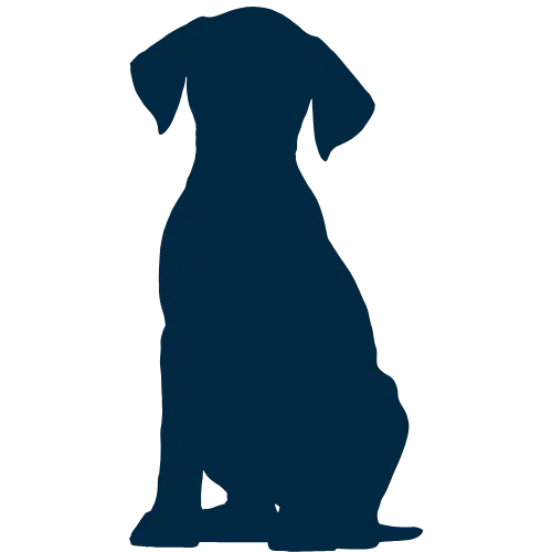 icone chien