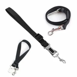 Laisse ceinture de sécurité noire Kura - sangle 25 mm, longueur réglable 55-85 mm