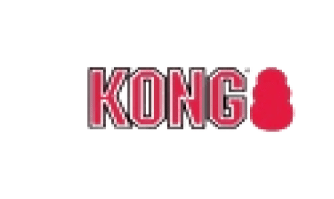 logo-kong