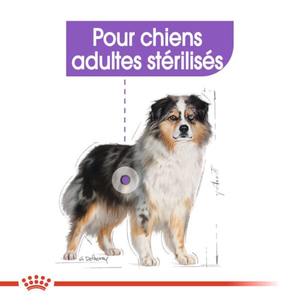 Medium sterilised 3 kg – Image 5