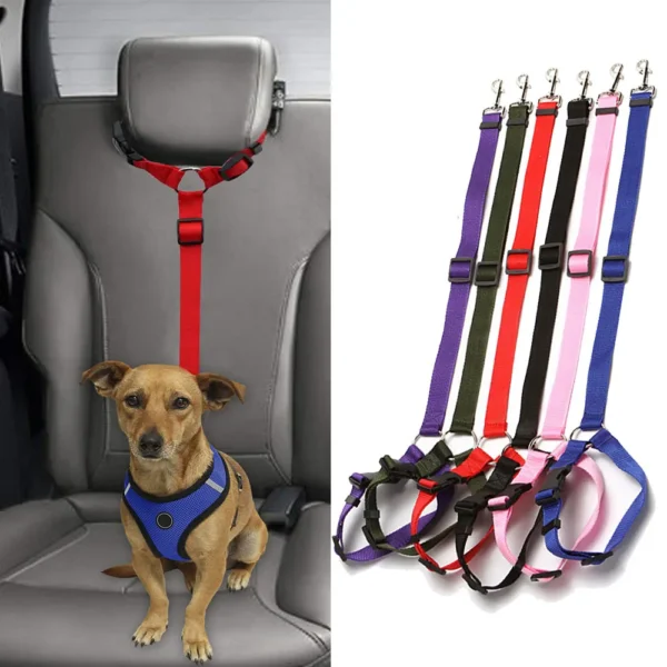 Ceinture de sécurité 2 en 1 collier & attache pour chien & chat