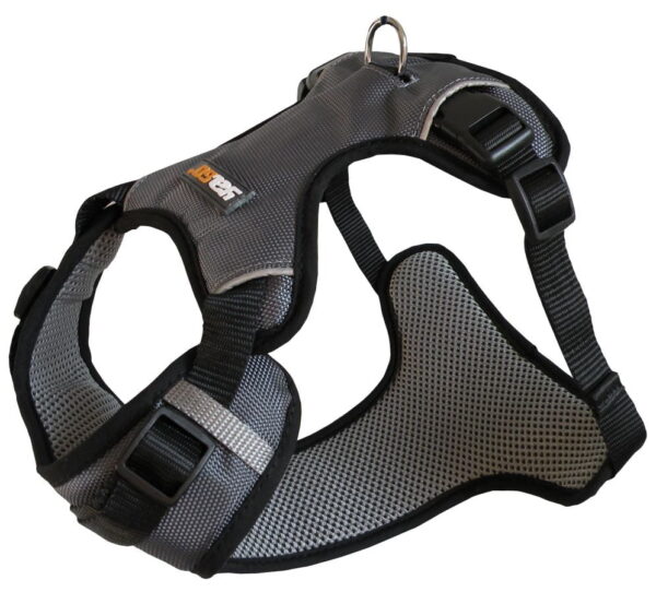 Harnais sport Aimé gris taille S 58-70CM
