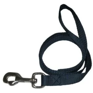 Laisse nylon bleu eco Aimé 1.2 m x 20 mm