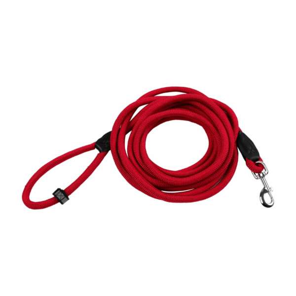 Longe corde forte pour chien