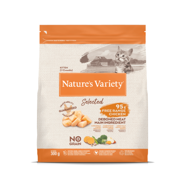 NV chat Selected chaton poulet – Image 5