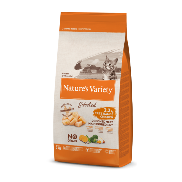 NV chat Selected chaton poulet – Image 8