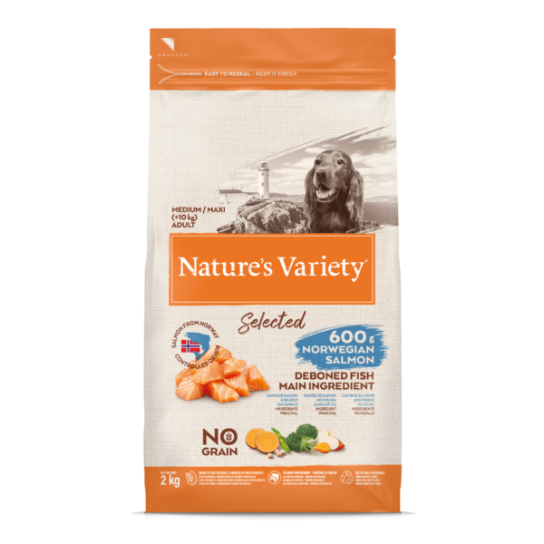 NV chien Selected med adult saumon – Image 4