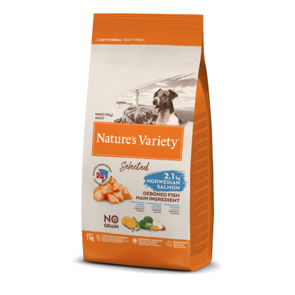 NV chien Selected mini adult saumon – Image 5