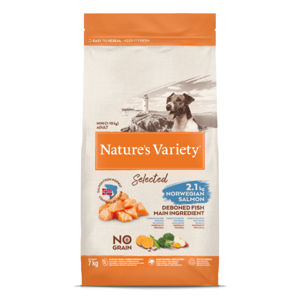 NV chien Selected mini adult saumon – Image 6
