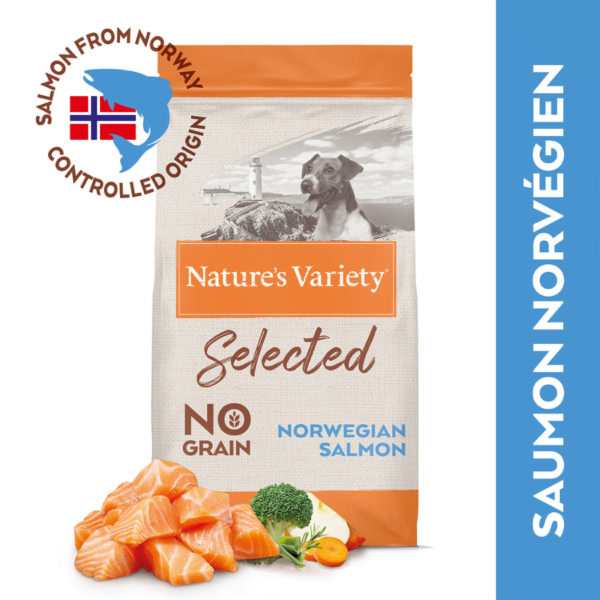NV chien Selected mini adult saumon – Image 2