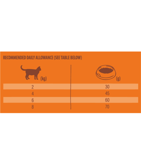 NV chat Original adult poulet – Image 2