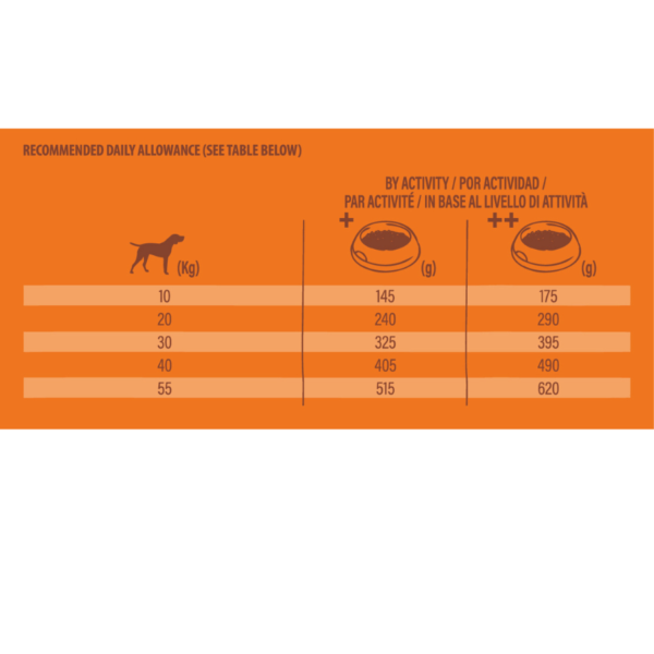 NV chien Original No Grain med adult dinde – Image 2