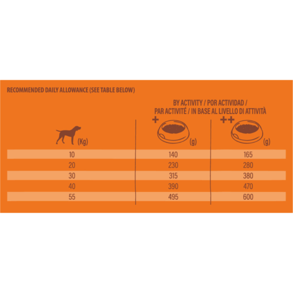 NV chien Original med adult poulet – Image 2