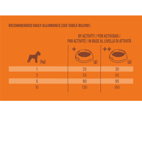 NV chien Selected mini adult saumon – Image 3