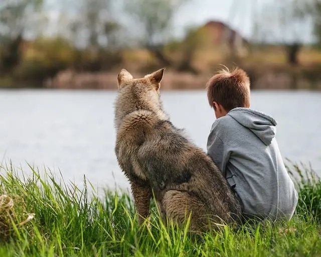 Garçon et chien assis face à un lac