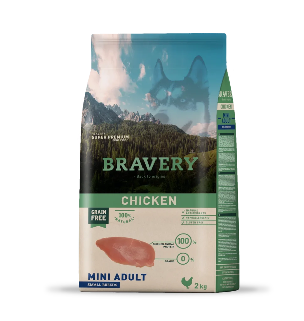 bravery dog chicken