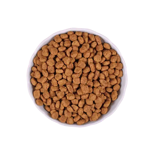 Croquettes