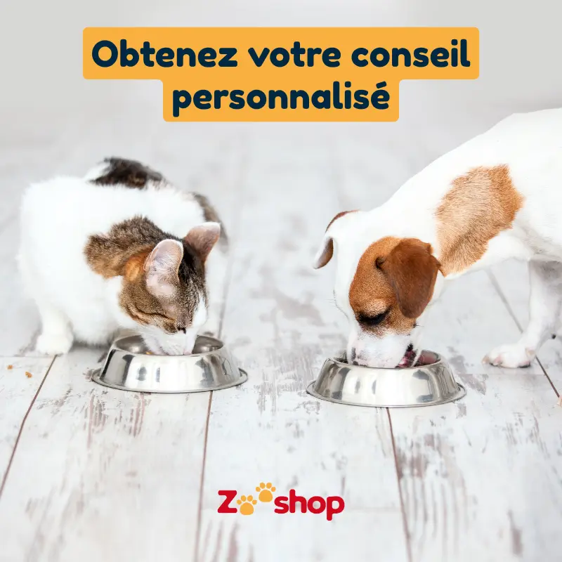 obtenez votre conseil personnalisé