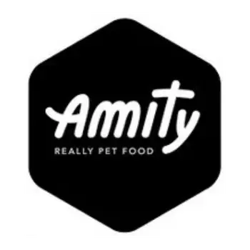 logo amity