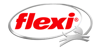 logo flexi